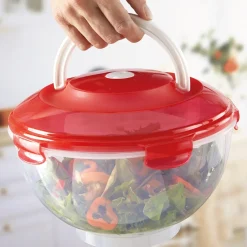 Online Tempsl 5 boîtes saladier couleur