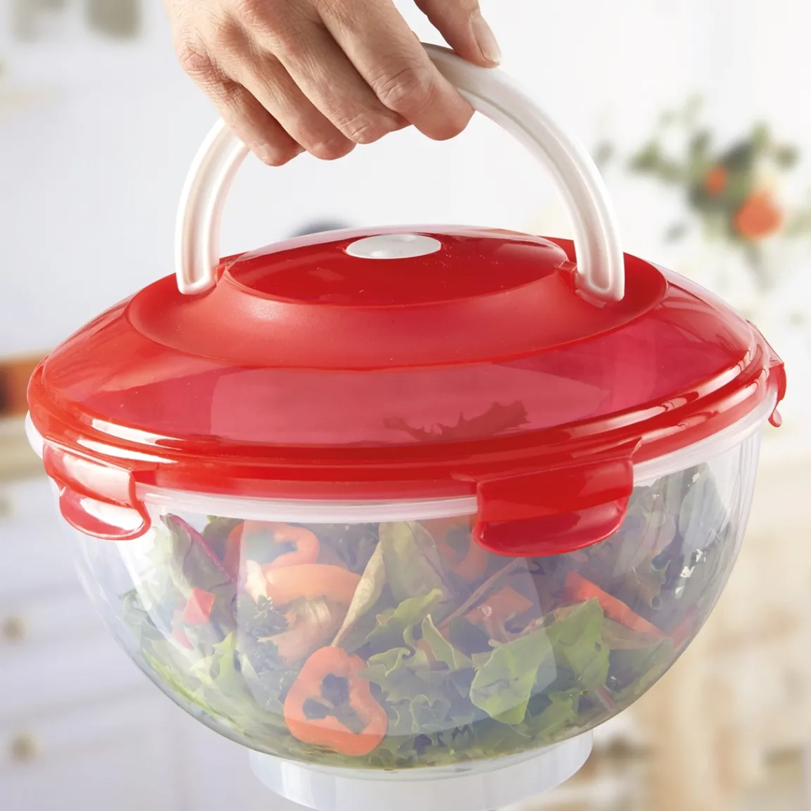 Online Tempsl 5 boîtes saladier couleur