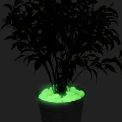 Discount Tempsl 100 pierres phosphorescentes : «vertes» ou «bleues»