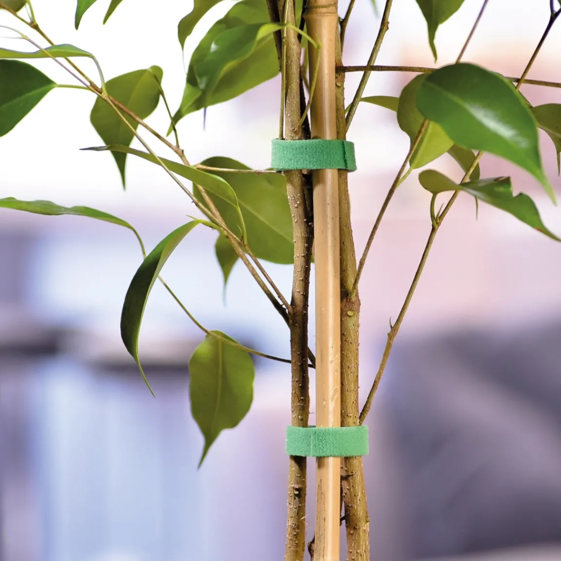 Discount Tempsl Bande auto agrippante 3 ou 5 mètres