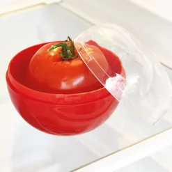 Sale Tempsl Boîte conservation tomate