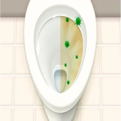 Clearance Tempsl Brosse magique WC