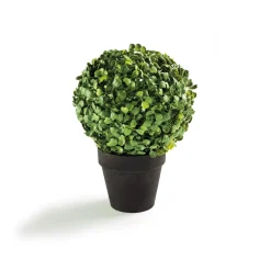 Clearance Tempsl Buis artificiel