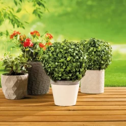 Clearance Tempsl Buis artificiel