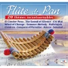 Hot Tempsl Cd flute de pan 20 themes incontournable