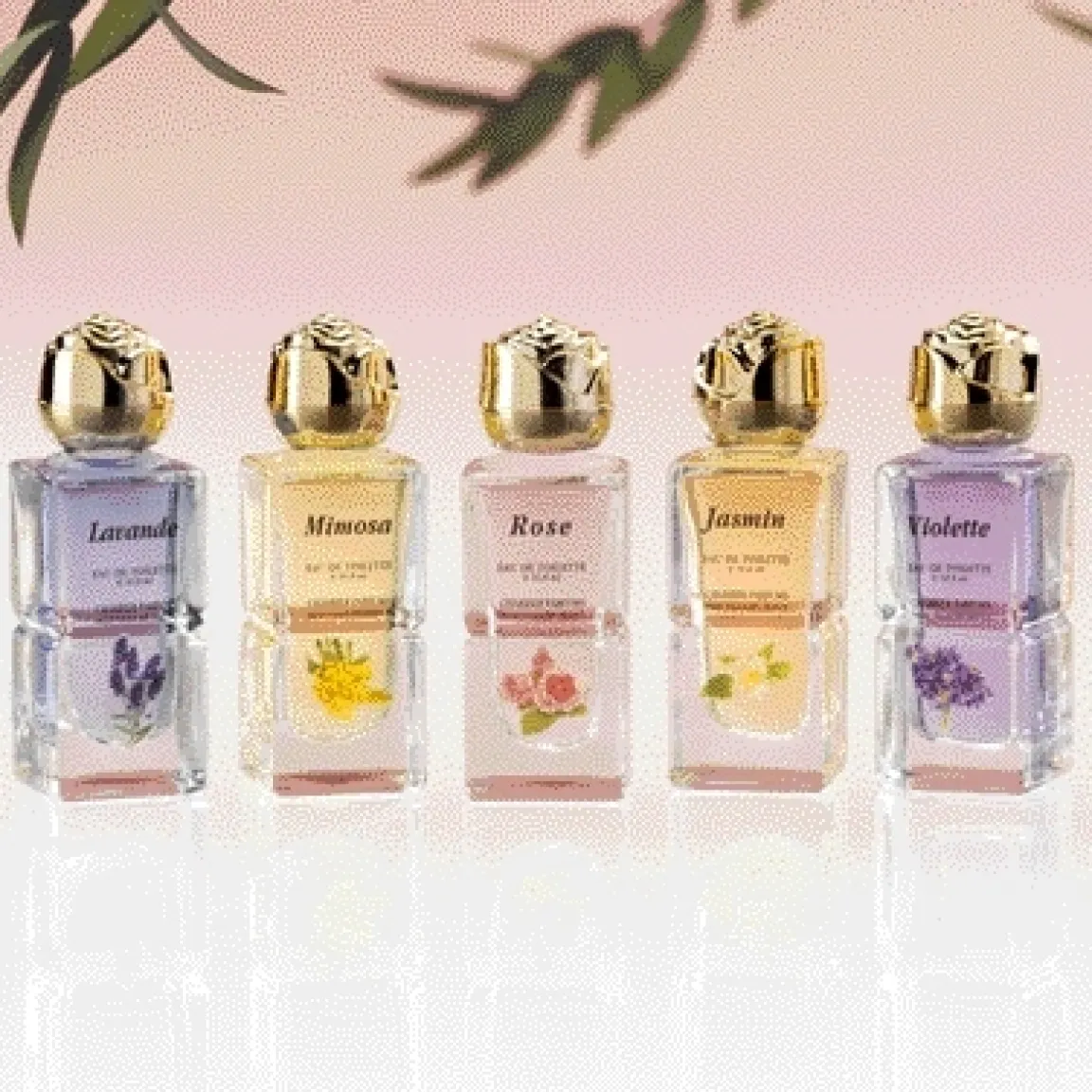 New Tempsl Coffret 5 parfums Provence