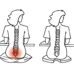 Sale Tempsl Coussin SEDI CONFORT®