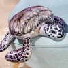 Hot Tempsl Coussin tortue