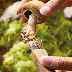 Hot Tempsl Couteau champignon