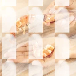 Tempsl Couteau décortiqueur de crevettes