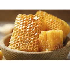 New Tempsl Couvre tout à la cire d'abeille