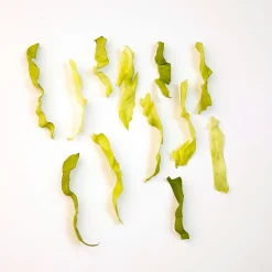 Discount Tempsl Eminceur salade