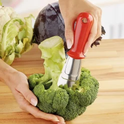 Outlet Tempsl Etrogneur choux/brocolis rouge