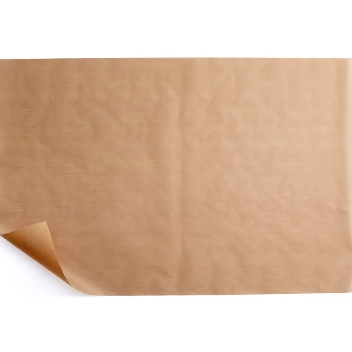 Outlet Tempsl Feuille de cuisson plancha