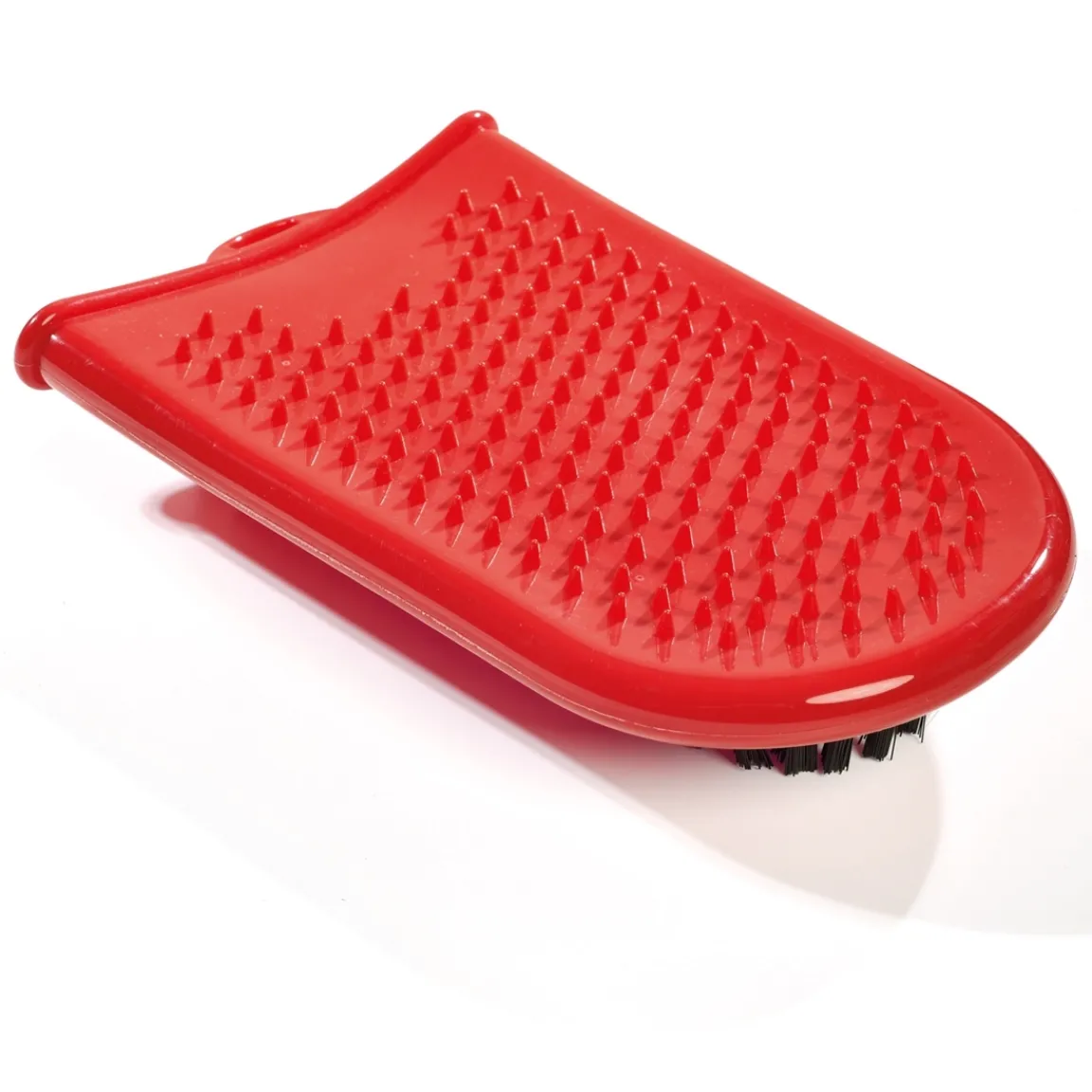 Online Tempsl Gant pour cactus