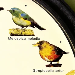 Hot Tempsl Horloge musicale oiseaux