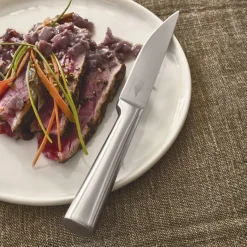 Clearance Tempsl Lot de 6 couteaux à steak inox PRADEL FRANCE®