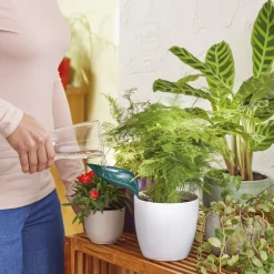 New Tempsl Lot de 2 feuilles arroses plantes