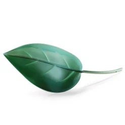 New Tempsl Lot de 2 feuilles arroses plantes