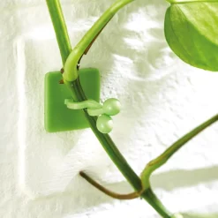 Discount Tempsl Lot de 50 guides de croissance