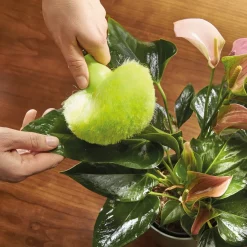 Best Tempsl Lot de 2 pompons anti-poussière