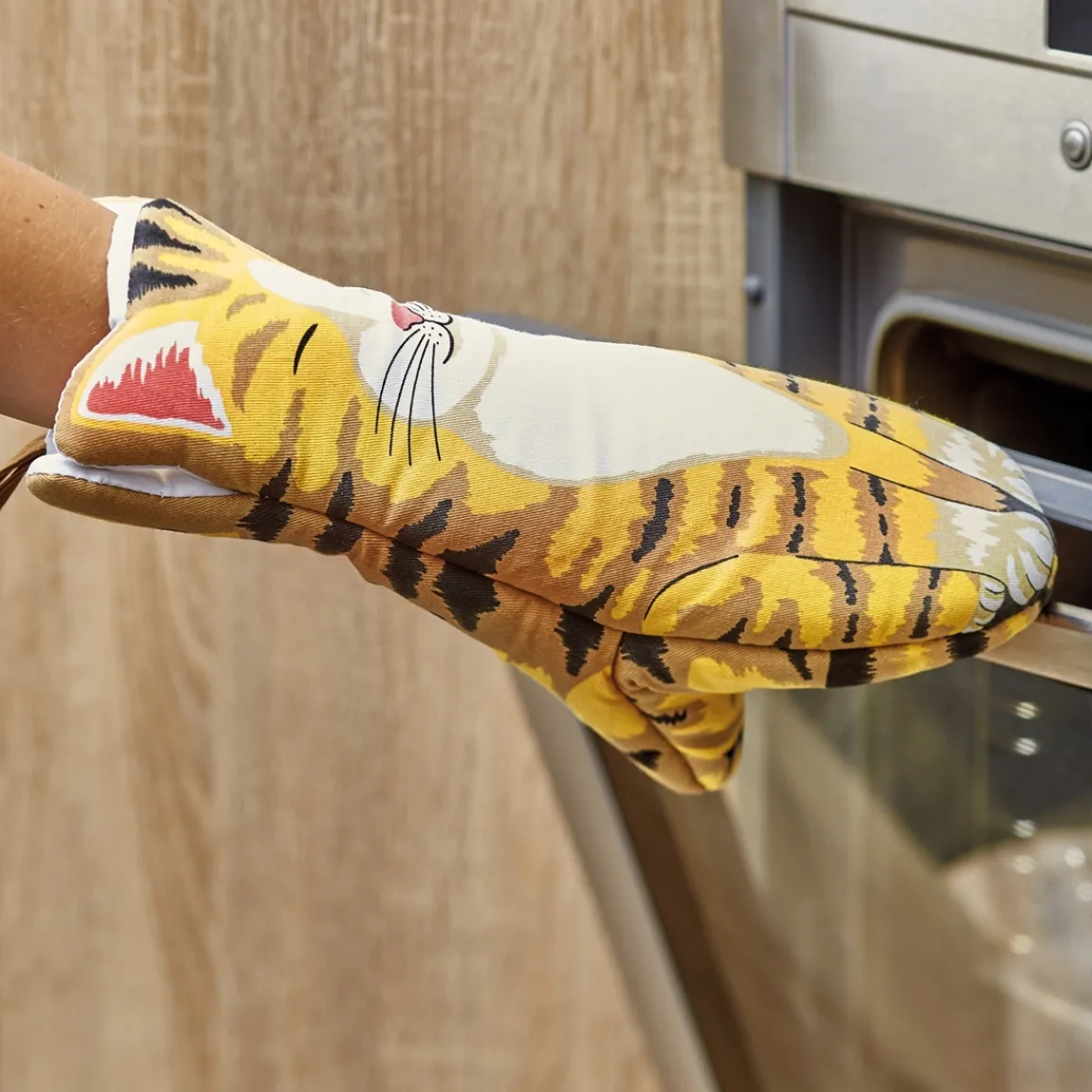 Tempsl Manique chat roux tigré