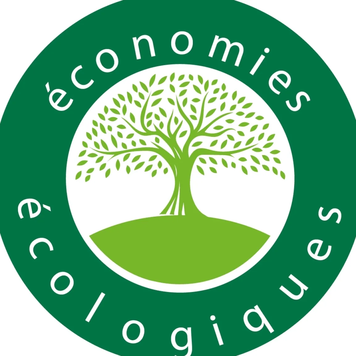 Sale Tempsl Maxi rouleau attrape-mouches