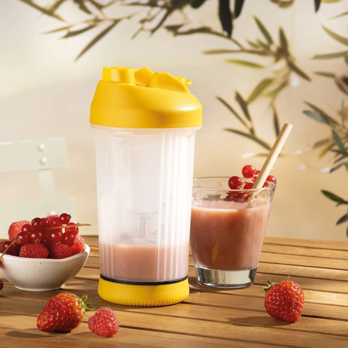 Clearance Tempsl Mixeur à fruits