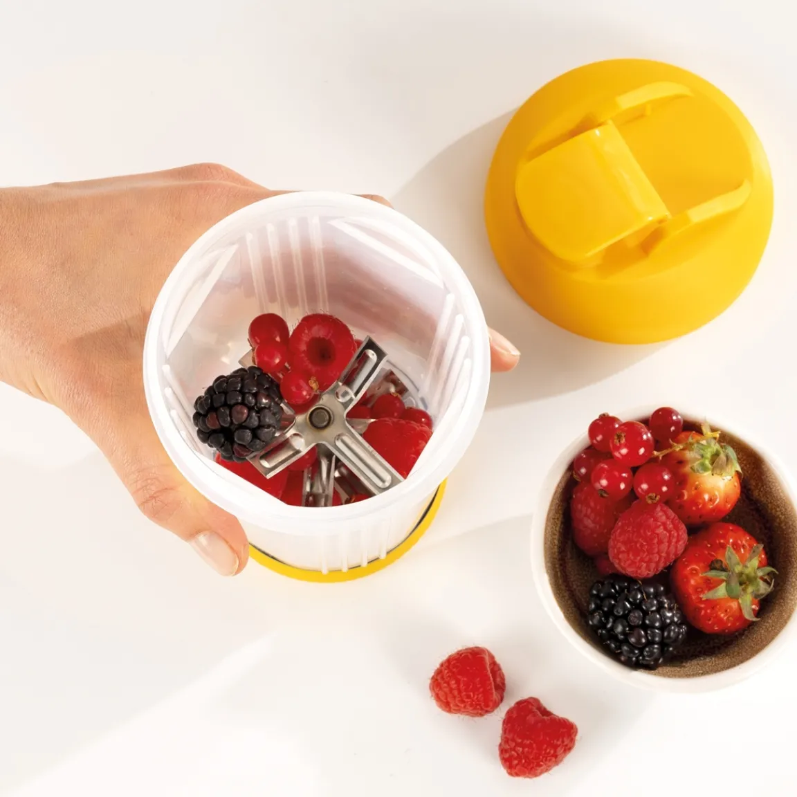 Clearance Tempsl Mixeur à fruits