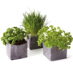 Best Tempsl Mon mini potager