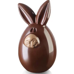 Tempsl Moule lapin en chocolat