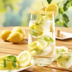 Discount Tempsl Moules à glaçons