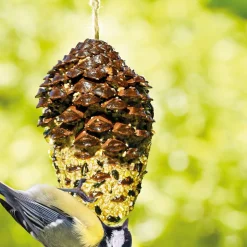 Discount Tempsl Nourriture oiseaux pomme de pin géante