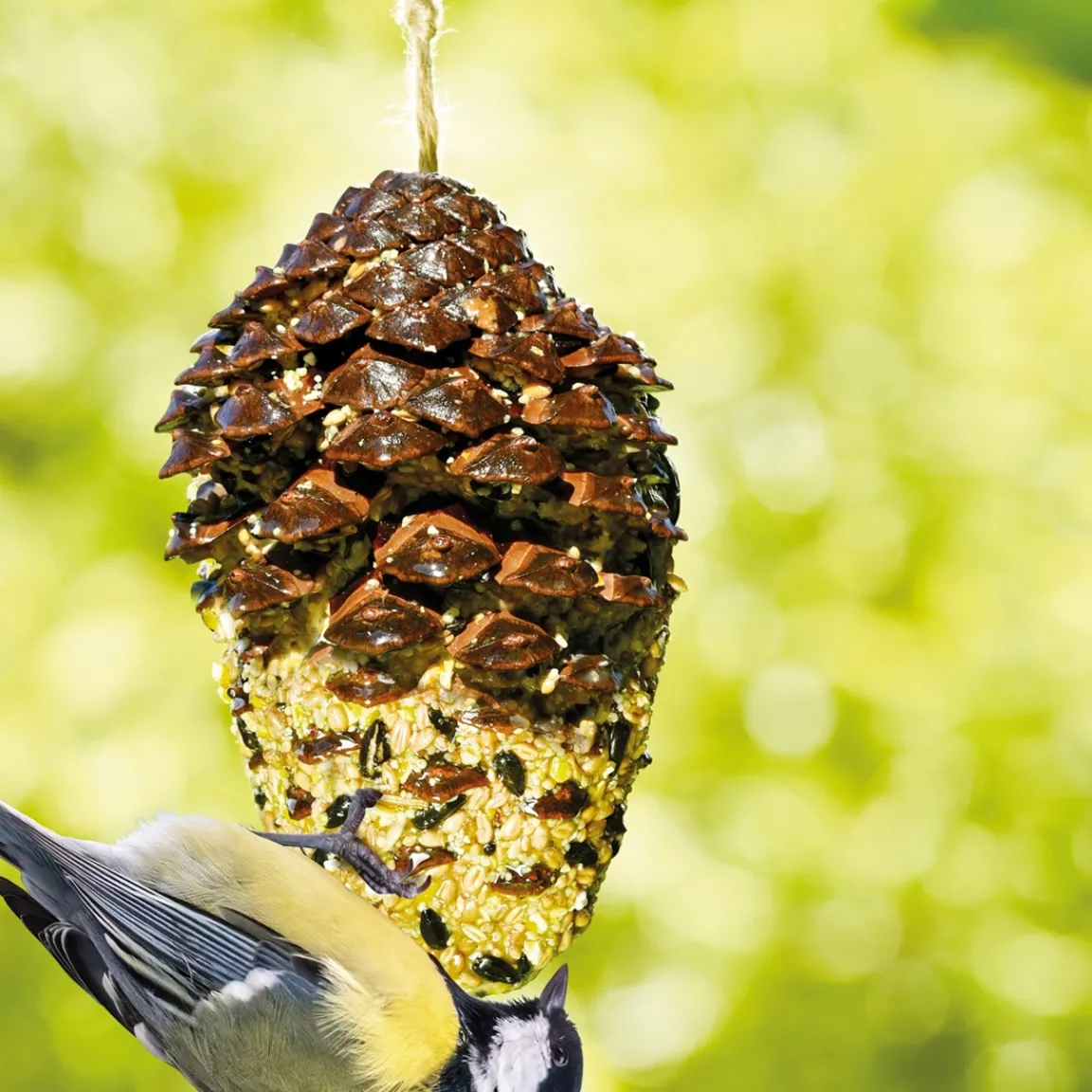 Discount Tempsl Nourriture oiseaux pomme de pin géante
