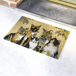 Best Tempsl Paillasson 5 chats