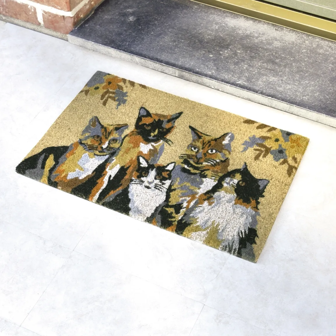 Best Tempsl Paillasson 5 chats