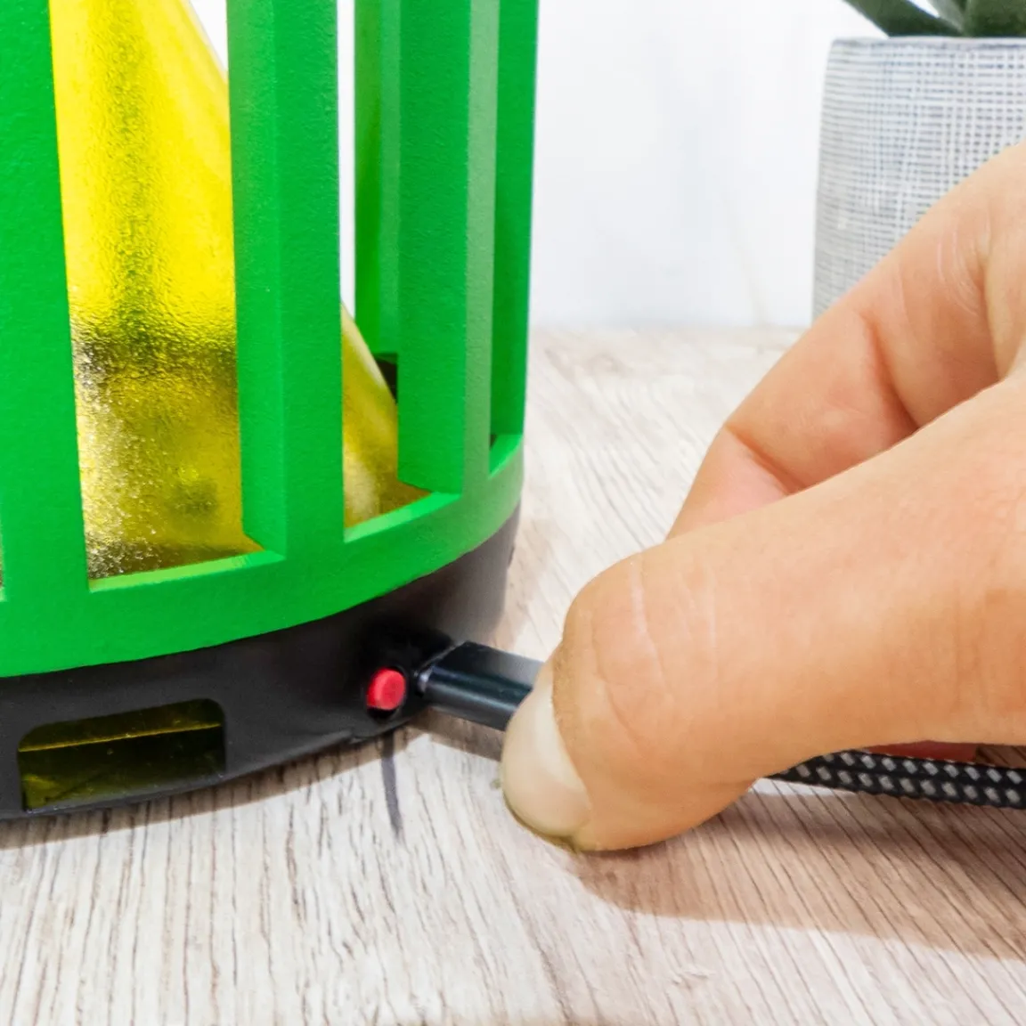 Clearance Tempsl Piège à insectes Fly cactus