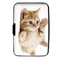 New Tempsl Porte-cartes chaton