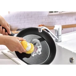 Tempsl Poussin pique éponges