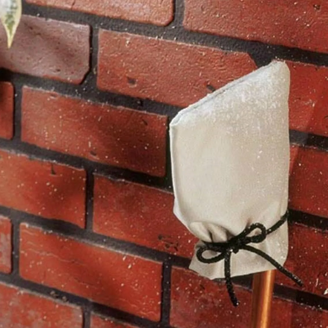 Discount Tempsl Protège robinet extérieur