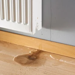 New Tempsl Purgeur de Radiateur