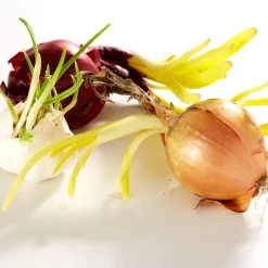 Best Tempsl Sac distributeur