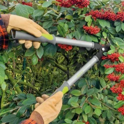 Sale Tempsl Sécateur