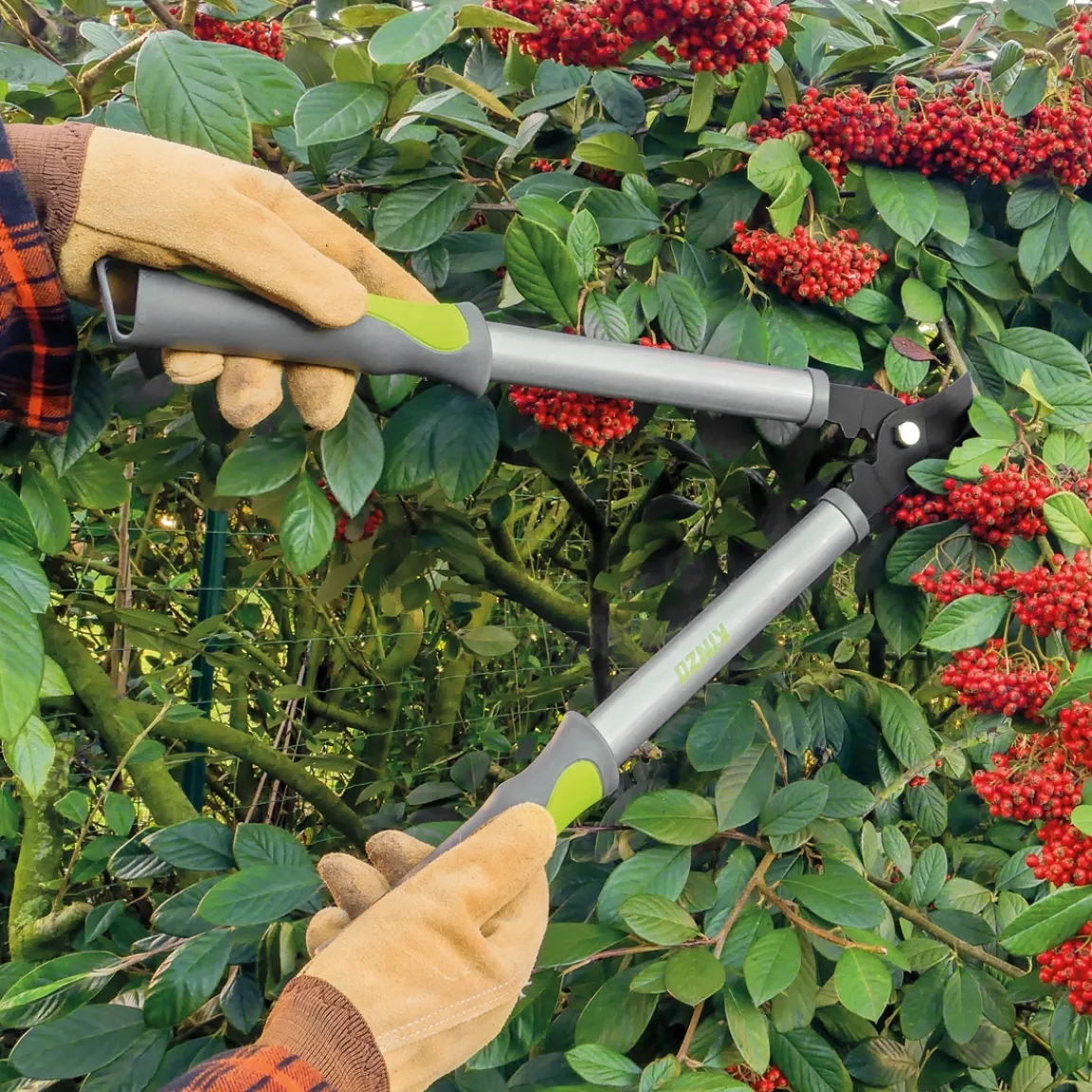 Sale Tempsl Sécateur