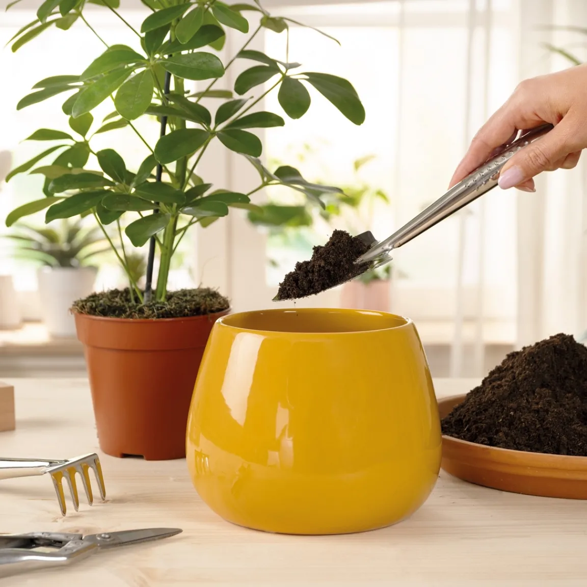 Tempsl Set d'outils de jardin d'intérieur