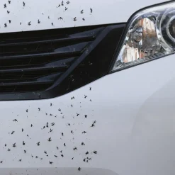 Clearance Tempsl Spray démoustiquant voiture