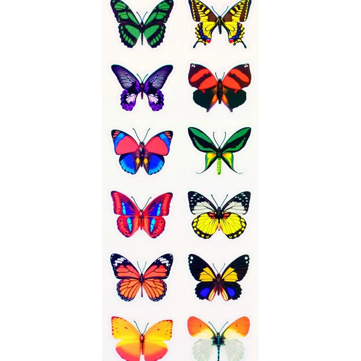 Online Tempsl Stickers papillons 3D