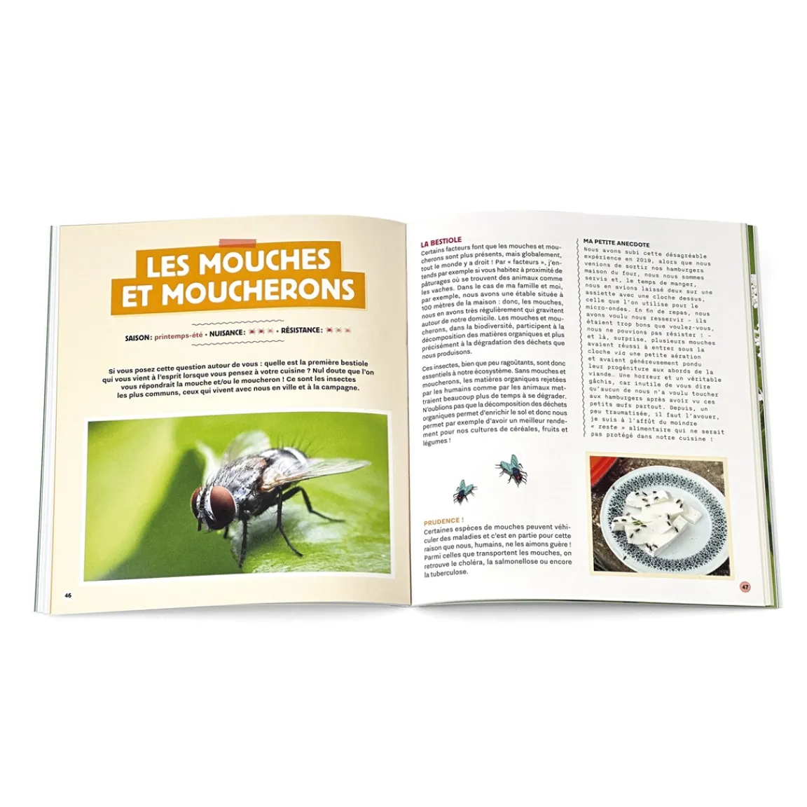 Sale Tempsl Stratégie anti-bestioles à la maison