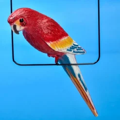 Discount Tempsl Suspension perroquet