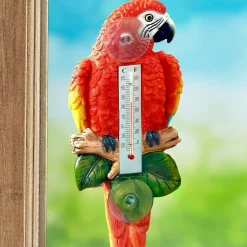 New Tempsl Thermomètre perroquet